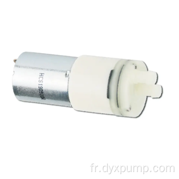12V DC Mini Pump Pump pour le distributeur d&#39;eau chaude